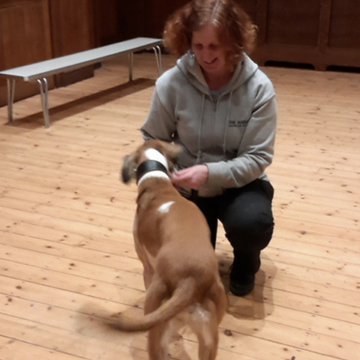 Valerie Bennett Animal Behaviourist Henley-on-Thames Valerie Bennett Animal Behaviourist Henley-on-Thames