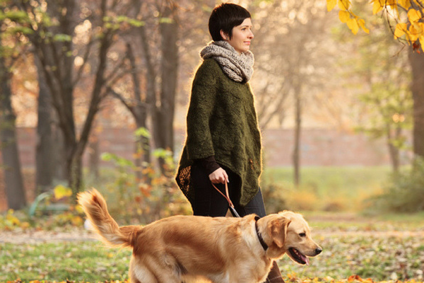 Reactive Dog Training | Animal Training | South Oxfordshire Reactive Dog Training | Animal Training | South Oxfordshire